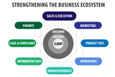 Sales Ecosystem Chart